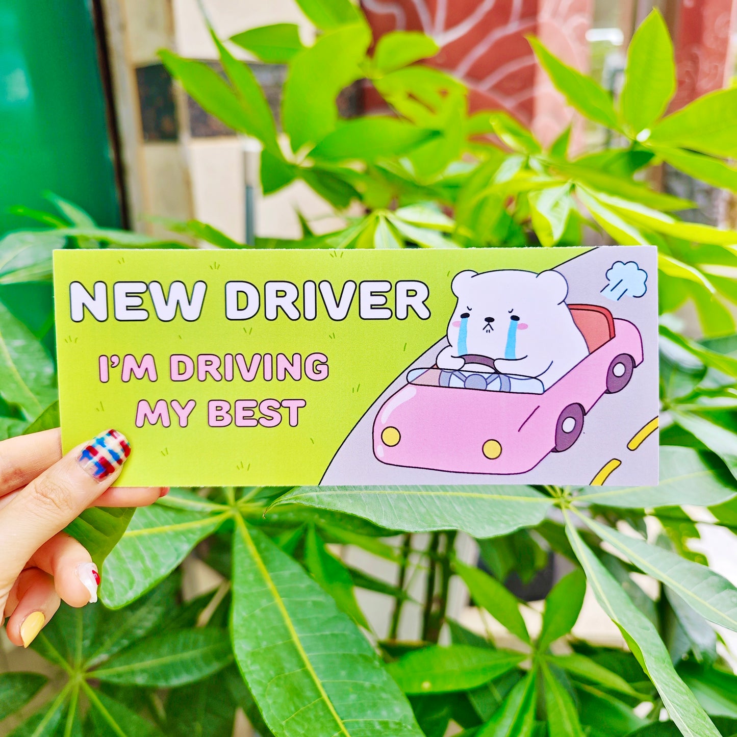 New Driver Bumper Sticker