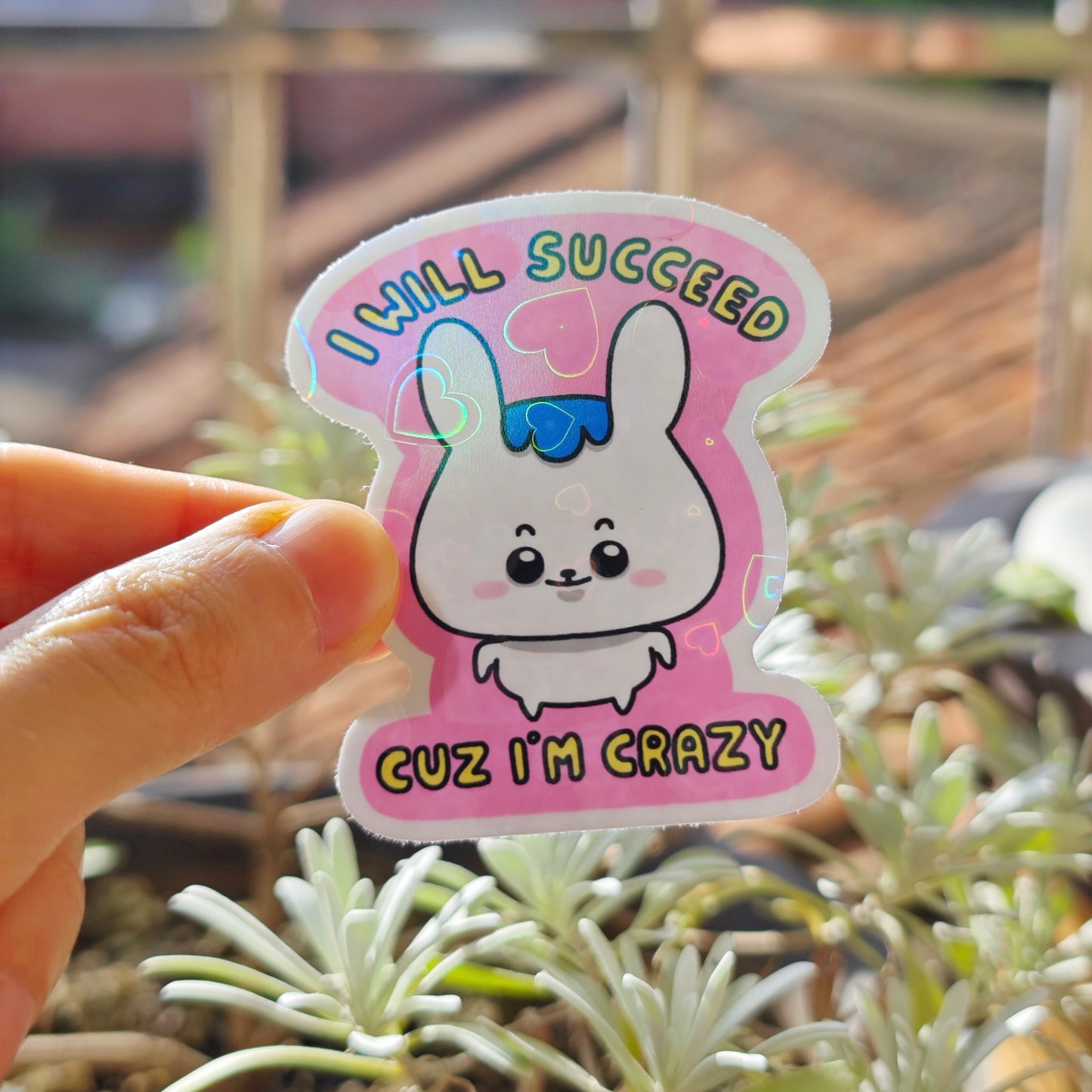 I Will Succeed Cuz I’m Crazy Sticker