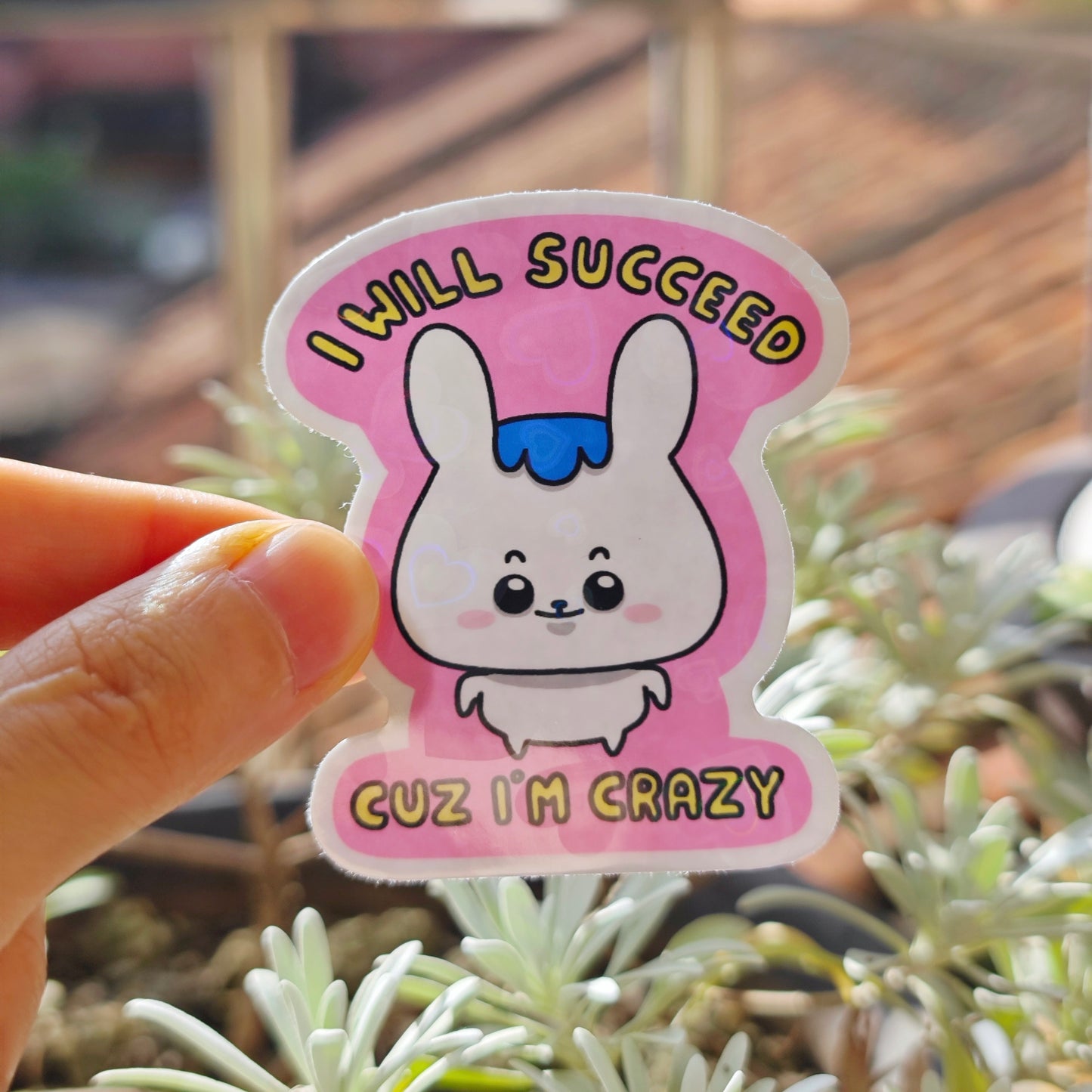 I Will Succeed Cuz I’m Crazy Sticker