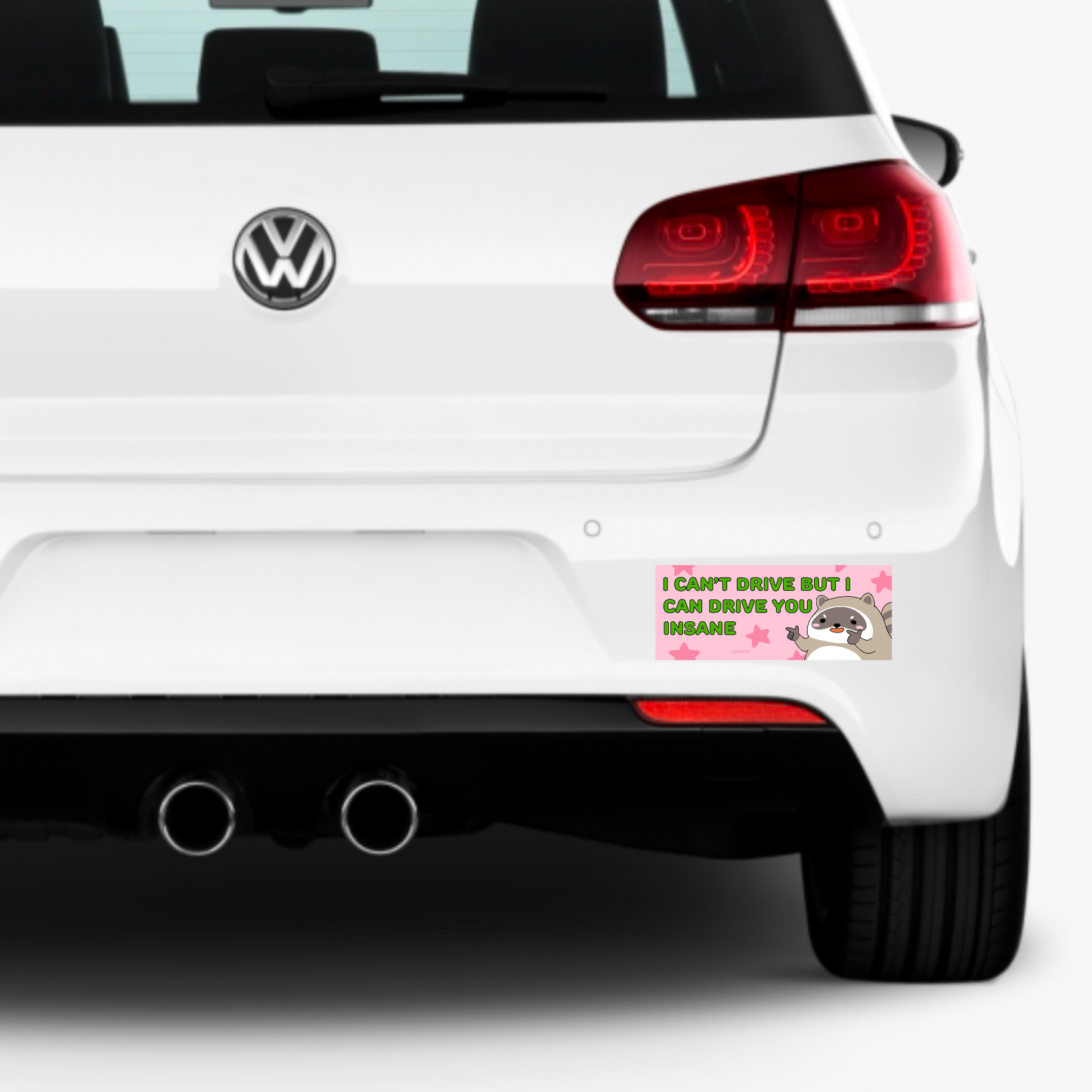 I Can’t Drive But I’ll Drive You Insane Bumper Sticker Magnet